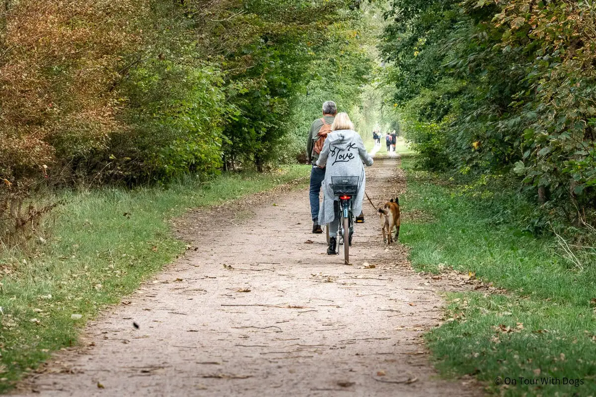 Es gibt schöne Fahrradwege | Foto: Sina Dieterle