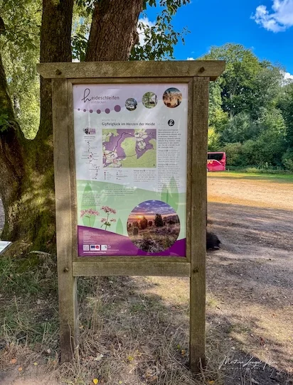 Hinweistafeln informieren über die Heide
