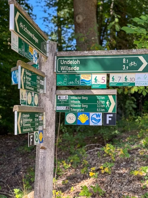 Zum Wilseder Berg führen viele Wege