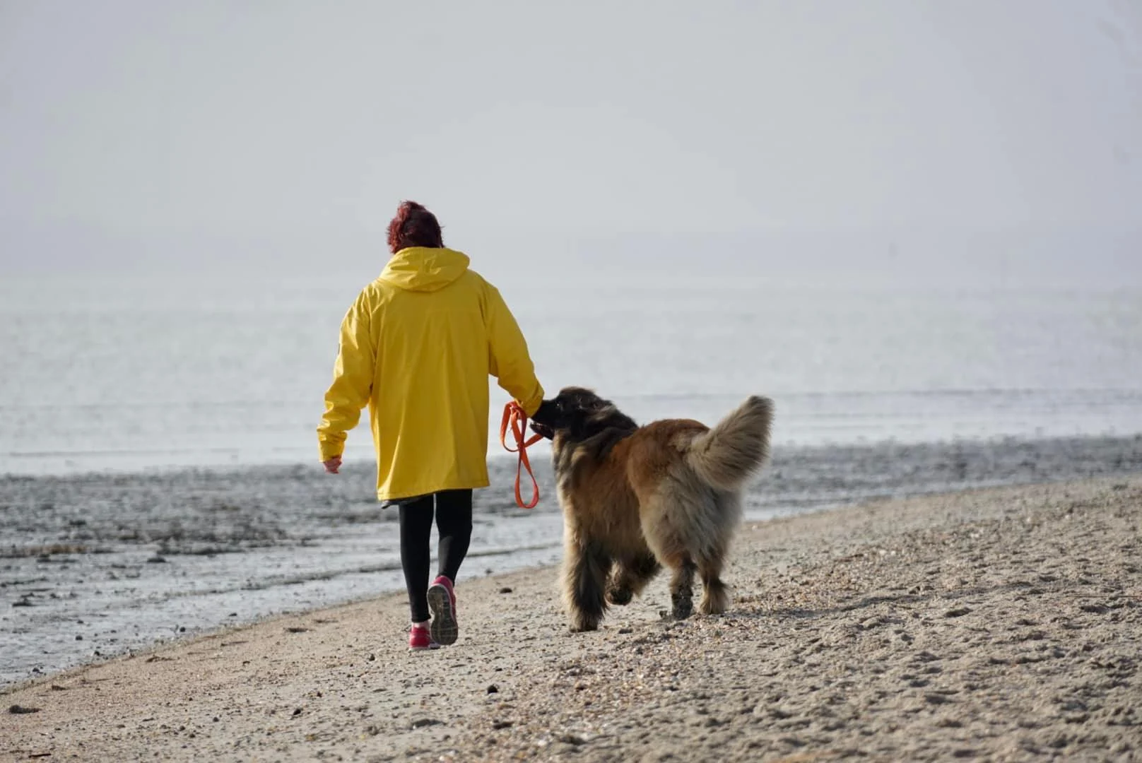Ich hatte ein nettes Gespräch am Hundestrand Schillig | Foto: Sina Dieterle