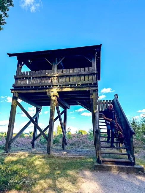 Der Aussichtsturm bietet einen Blick auf das vermeintliche Fürstengrab.