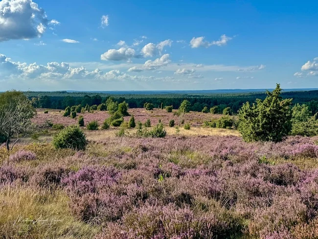Blick über die norddeutsche Tiefebene