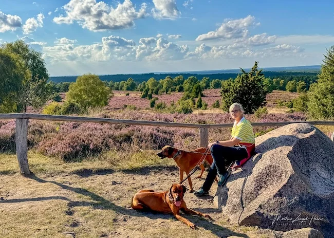 Pause mit Ausblick